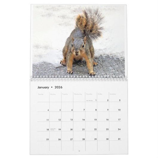 Squirrel Calendar 2022 カレンダー (1月 2026)