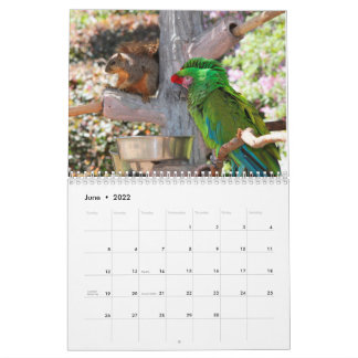 Squirrel Calendar 2022 カレンダー