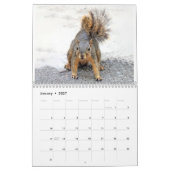 Squirrel Calendar 2022 カレンダー (1月 2027)