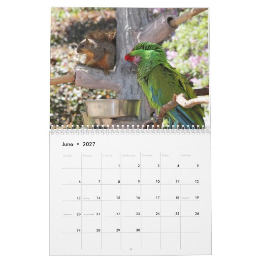 Squirrel Calendar 2022 カレンダー (6月 2027)