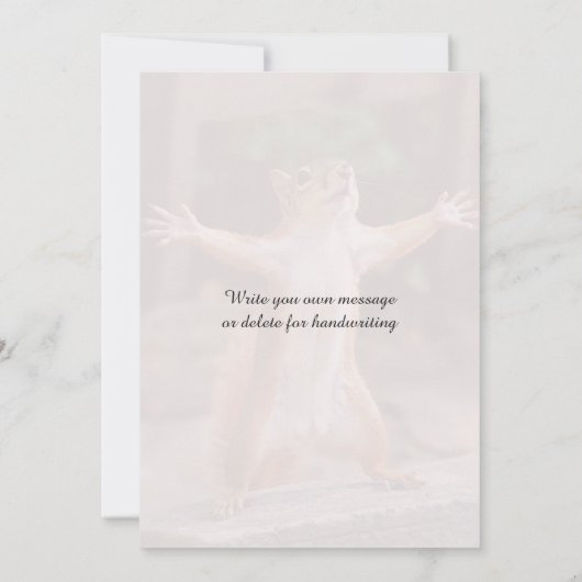 🎓Squirrel Celebration Custom Congrats Edition 招待状 (裏面)