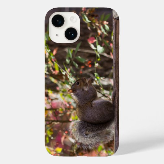 Squirrel Chow時間iPhoneケース Case-Mate iPhoneケース (裏面)