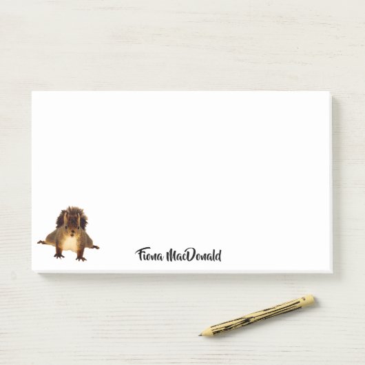 Squirrel cute funny name monogram ポストイット (デスク)