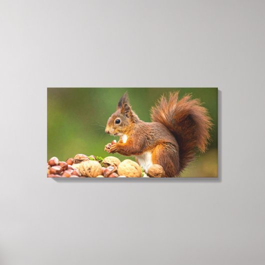 squirrel eating nut キャンバスプリント (正面)