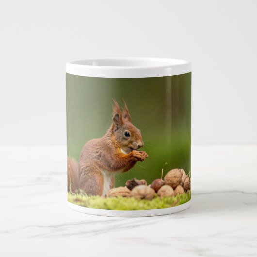 squirrel eating nut ジャンボコーヒーマグカップ (正面)