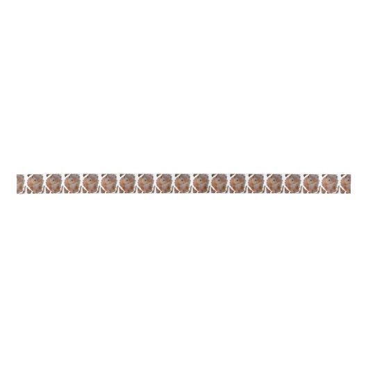 SQUIRREL EICHHÖRNCHEN ÉCUREUIL サテンリボン (正面)