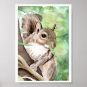 Squirrel Got Nuts Art Print Ready To Frame Miranda ポスター (正面)