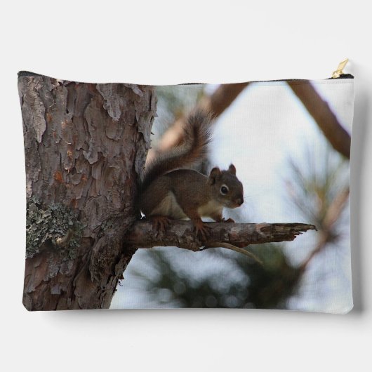 Squirrel in a Pine Tree アクセサリーポーチ (裏面)