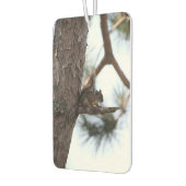 Squirrel in a Pine Tree カーエアーフレッシュナー (左)