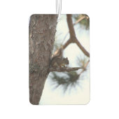 Squirrel in a Pine Tree カーエアーフレッシュナー (裏面)