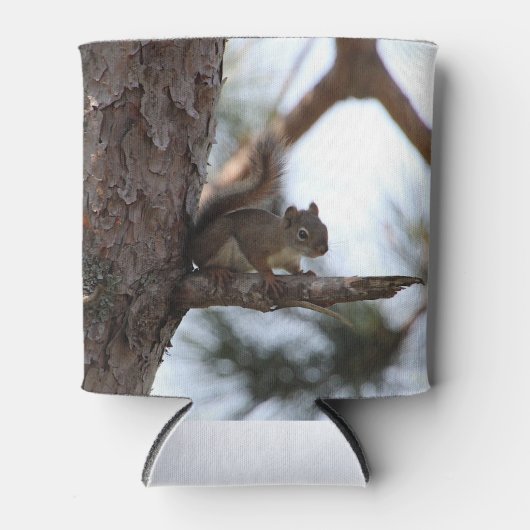 Squirrel in a Pine Tree 缶クーラー (正面)