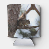 Squirrel in a Pine Tree 缶クーラー (裏面)