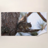 Squirrel in a Pine Tree Beach Towel ビーチタオル (正面)