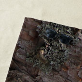 Squirrel in a Pine Tree Beach Towel ビーチタオル (インサイチュ)