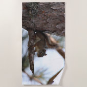Squirrel in a Pine Tree Beach Towel ビーチタオル (正面)