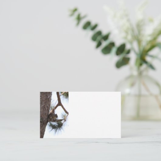 Squirrel in a Pine Tree Business Cards 名刺 (スタンド正面)