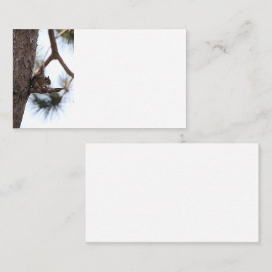Squirrel in a Pine Tree Business Cards 名刺 (正面/裏面)