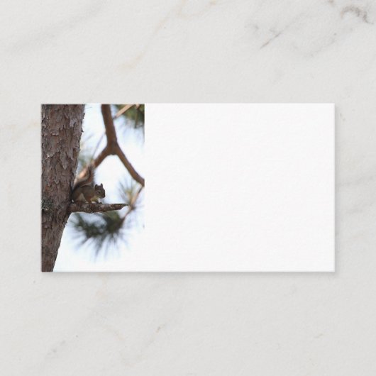 Squirrel in a Pine Tree Business Cards 名刺 (正面)