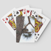 Squirrel in a Pine Tree Playing Cards トランプ (裏面)