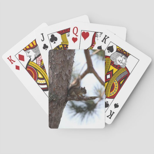 Squirrel in a Pine Tree Playing Cards トランプ (裏面)