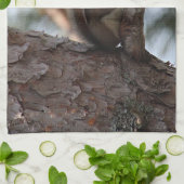 Squirrel in a Pine Tree Towel キッチンタオル (折り畳み)