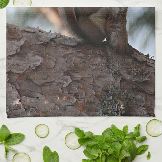 Squirrel in a Pine Tree Towel キッチンタオル (折り畳み)