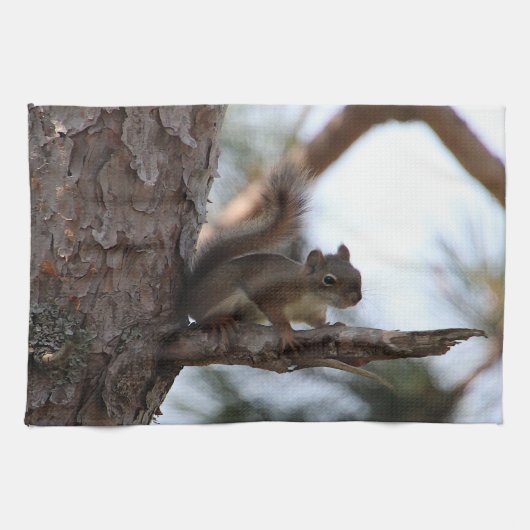 Squirrel in a Pine Tree Towel キッチンタオル (横)