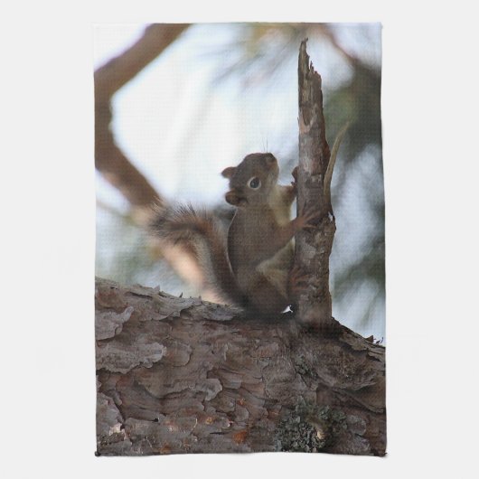 Squirrel in a Pine Tree Towel キッチンタオル (縦)