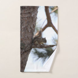 Squirrel in a Pine Tree Towel Set バスタオルセット