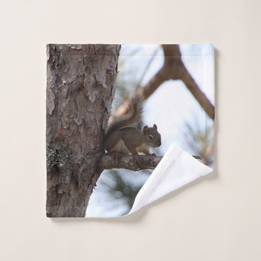 Squirrel in a Pine Tree Towel Set バスタオルセット (ウォッシュタオル)