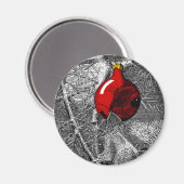 Squirrel in Christmas Tree マグネット (正面/裏面)