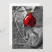 Squirrel in Christmas Tree 招待状 (正面/裏面)