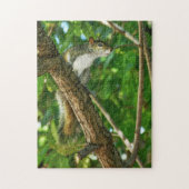 Squirrel in Tree Wildlife Photography  ジグソーパズル (縦)