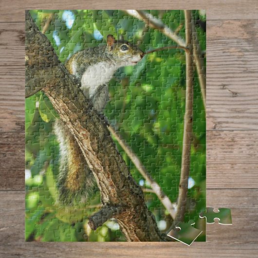 Squirrel in Tree Wildlife Photography  ジグソーパズル