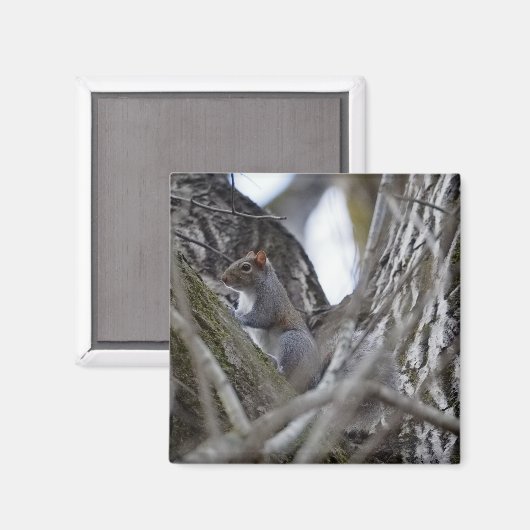 Squirrel_magnet マグネット (正面/裏面)