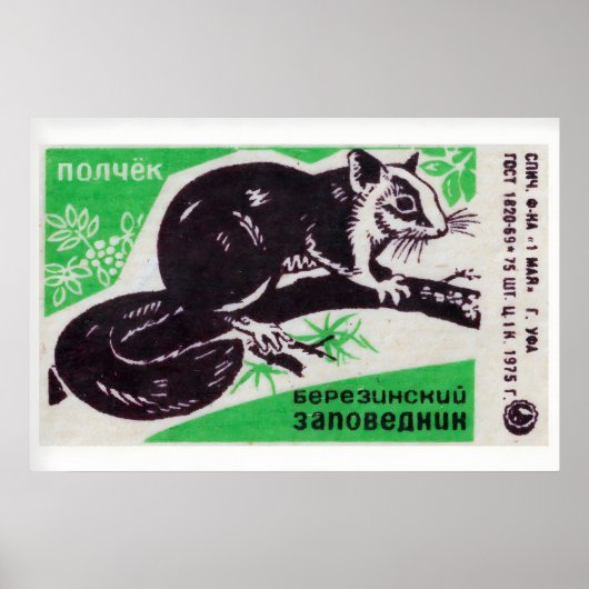 Squirrel - Matchbox Print - Aesthetic Wall Art ポスター (正面)