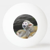 squirrel-monkey-39.jpg 卓球ボール (正面)