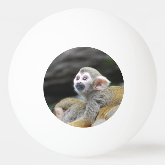 squirrel-monkey-39.jpg 卓球ボール (裏面)