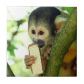 Squirrel Monkey Eating a Wafer Biscuit タイル (正面)