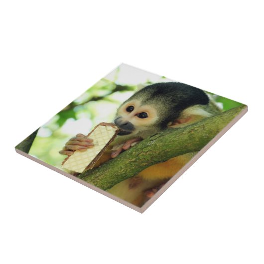Squirrel Monkey Eating a Wafer Biscuit タイル (側面)
