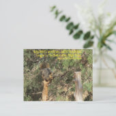 Squirrel Nnjaトレーニングのヒント ポストカード (スタンド正面)