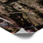 Squirrel on Standby ポスター (角)