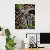 Squirrel on Standby ポスター (ホームオフィス)