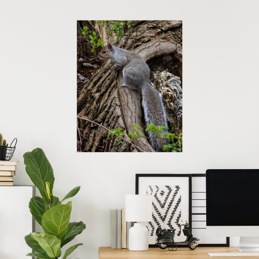 Squirrel on Standby ポスター (ホームオフィス)