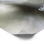 Squirrel Perched on a Tree Branch ポスター (角)