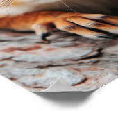 Squirrel Wild Animal Loving Portrait  ポスター (角)