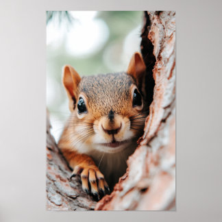 Squirrel Wild Animal Loving Portrait  ポスター