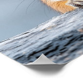 Squirrel Wild Animal Loving Portrait  ポスター (角)