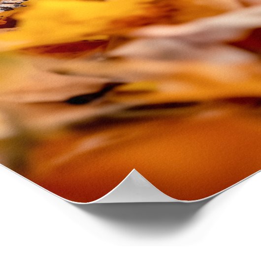 Squirrel Wild Animal Loving Portrait  ポスター (角)