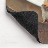 squirrelfriend マウスパッド (コーナー)